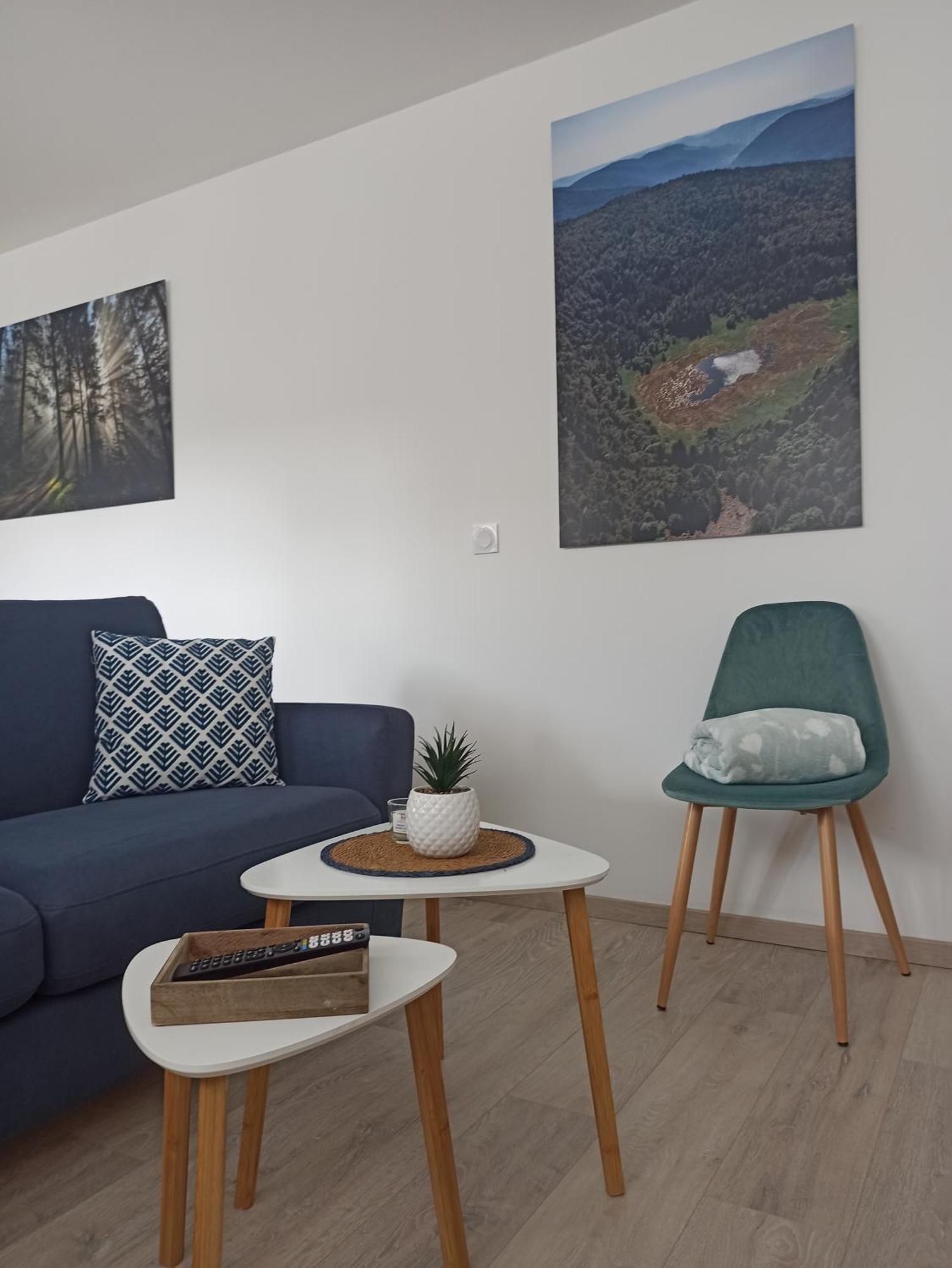 Chalet Kelly, Centre Ville / Jacuzzi / Sauna Gerardmer Luaran gambar